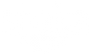 Shaka & Co